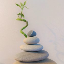 ***Canceled  Wellness Session for CRMC Employees, Saturday, May 21, 2022 From 10:00 a.m. to 12:00 p.m. at Laramie County Library-Cottonwood  Room