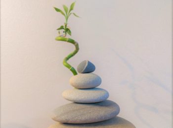 ***Canceled  Wellness Session for CRMC Employees, Saturday, May 21, 2022 From 10:00 a.m. to 12:00 p.m. at Laramie County Library-Cottonwood  Room